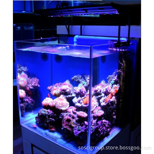 CREE LED Aquarium Light for Saltwater